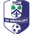 SK Březolupy / Nedachlebice